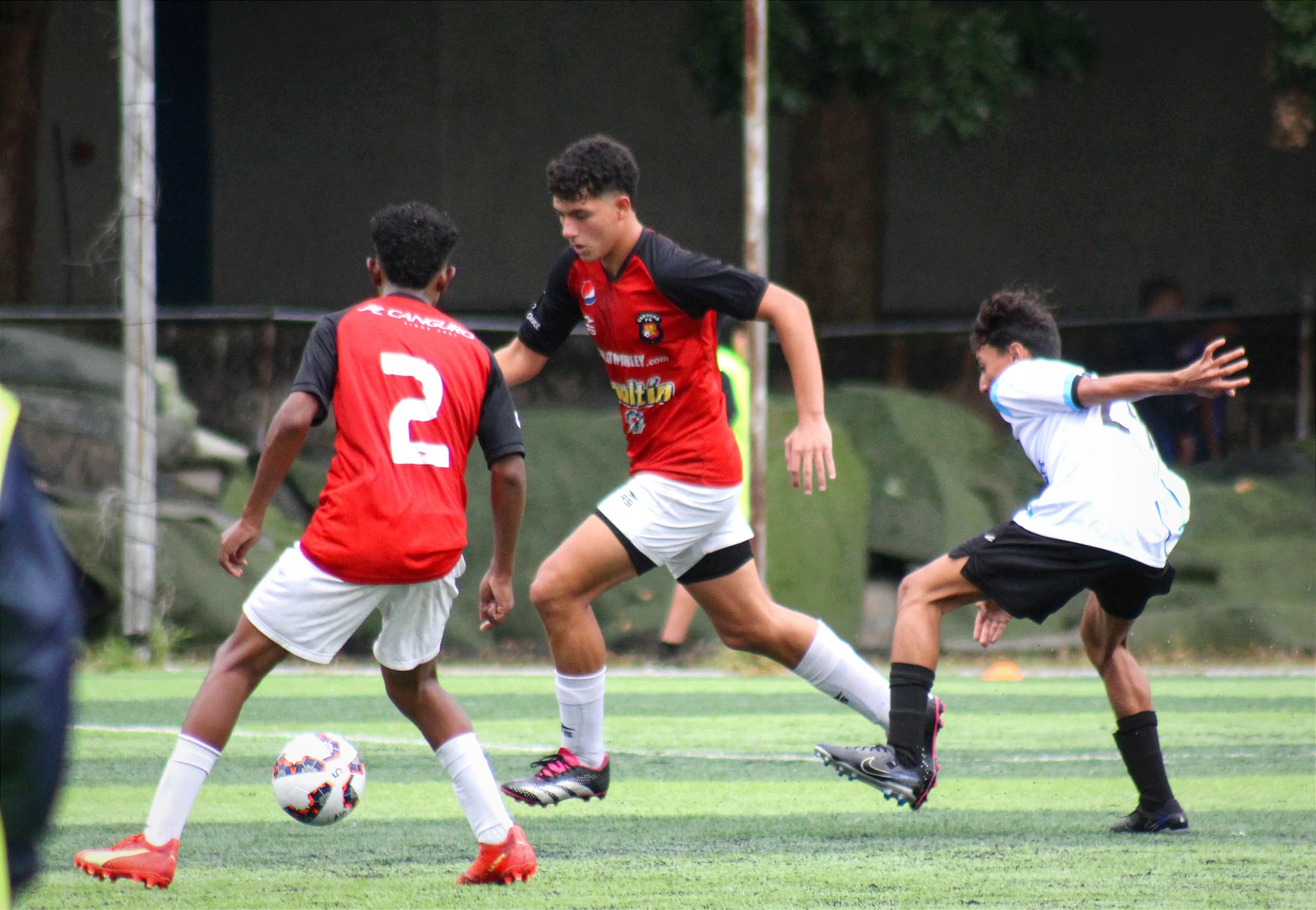 Retrato de Ricardo Ortiz